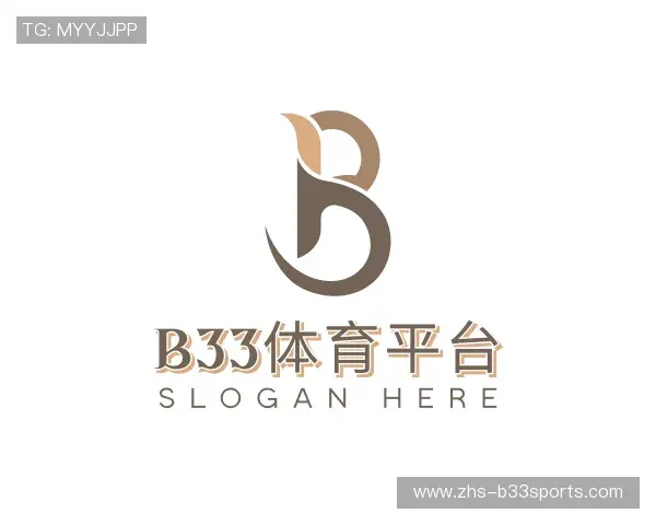 介绍b33体育